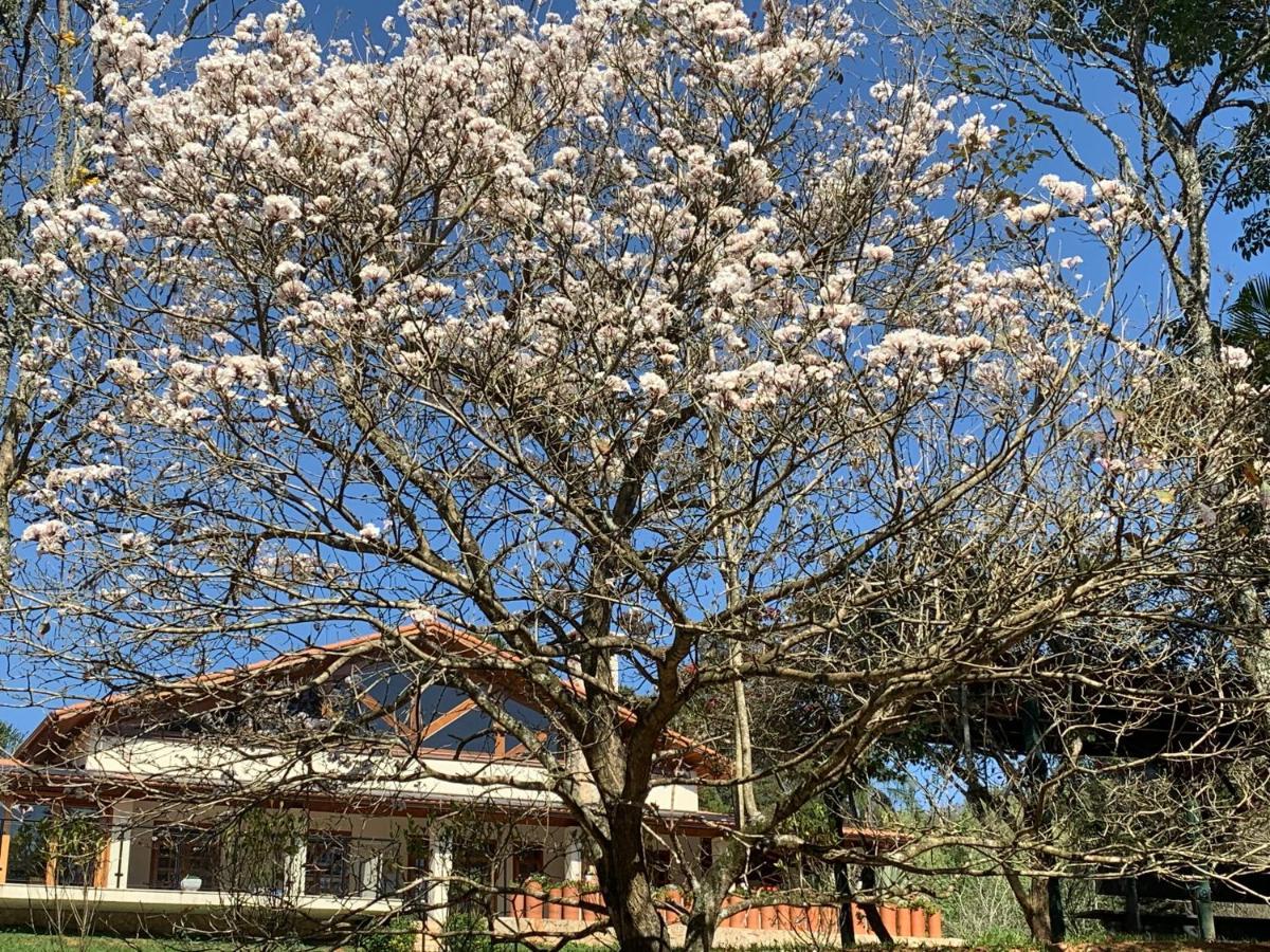 Gardenian Boutique Hotel São Roque Dış mekan fotoğraf